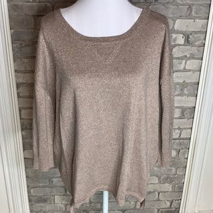 a.n.a- Metallic Sweater Round Neck Long Sleeve 1X